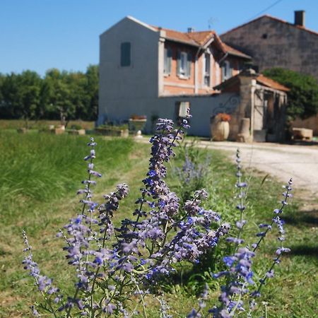 Le Mas Marguerite Arles Exterior foto